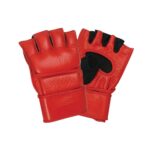 MMA Gloves Heavy-Duty Striking & Grappling Gloves