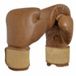 Vintage Professional Leather Boxing Gloves