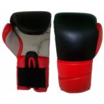 Championship Leather Boxing Gloves